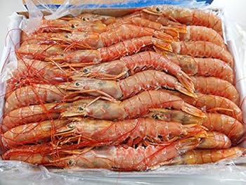 えび ARBUMASA赤えび有頭L2（40～60尾） 2KG: 水産品 KANTO EXPRESS